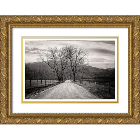 Less Traveled Gold Ornate Wood Framed Art Print with Double Matting by Taylor, Glenn
