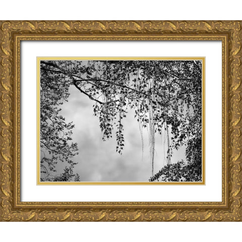 Summer Afternoon BW Gold Ornate Wood Framed Art Print with Double Matting by Poinski, Dianne