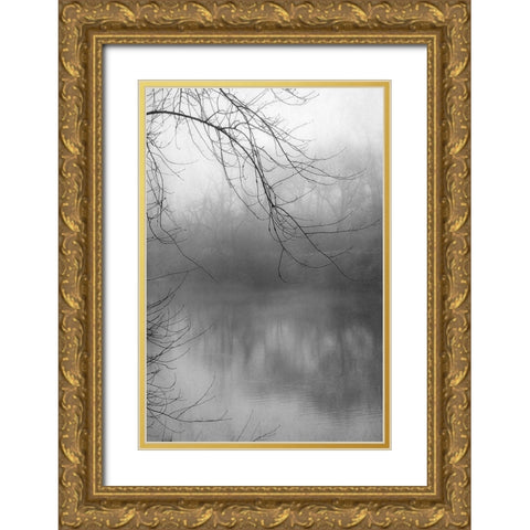 Misty Pond 1 BW Gold Ornate Wood Framed Art Print with Double Matting by Poinski, Dianne