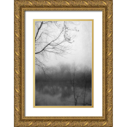 Misty Pond 2 BW Gold Ornate Wood Framed Art Print with Double Matting by Poinski, Dianne