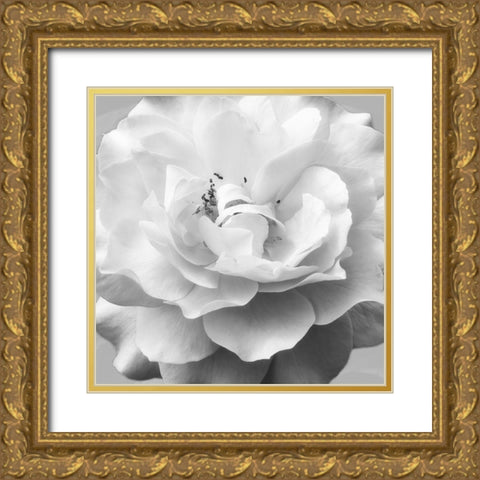 Beautiful Dreams 1 Gold Ornate Wood Framed Art Print with Double Matting by Poinski, Dianne