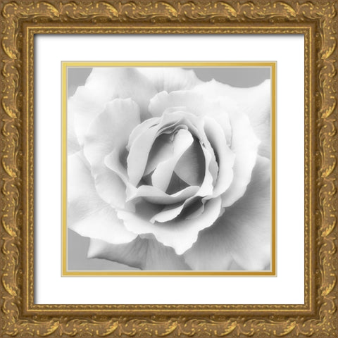 Beautiful Dreams 2 Gold Ornate Wood Framed Art Print with Double Matting by Poinski, Dianne