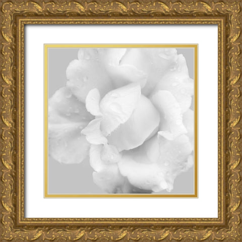 Beautiful Dreams 3 Gold Ornate Wood Framed Art Print with Double Matting by Poinski, Dianne