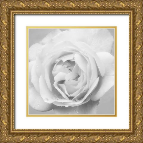 Beautiful Dreams 4 Gold Ornate Wood Framed Art Print with Double Matting by Poinski, Dianne