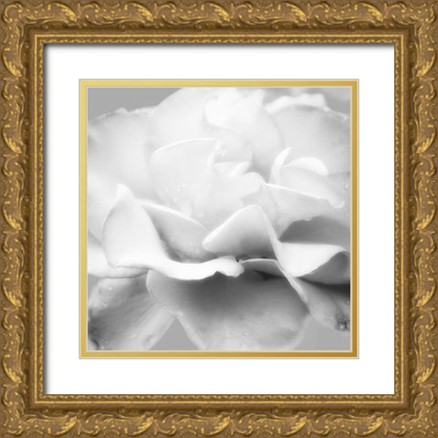 Beautiful Dreams 5 Gold Ornate Wood Framed Art Print with Double Matting by Poinski, Dianne