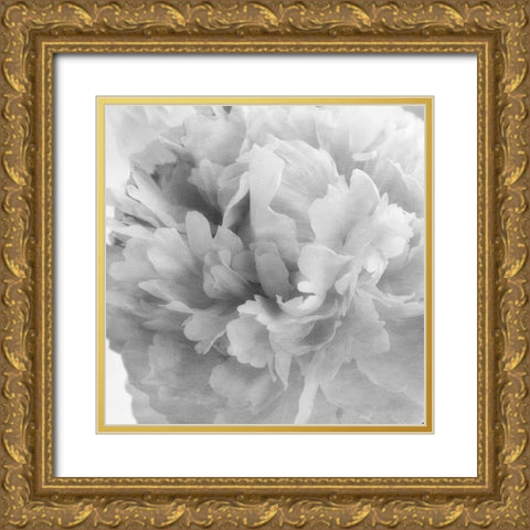 Blooming Intellect 1 Gold Ornate Wood Framed Art Print with Double Matting by Poinski, Dianne