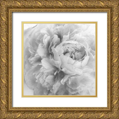 Blooming Intellect 2 Gold Ornate Wood Framed Art Print with Double Matting by Poinski, Dianne