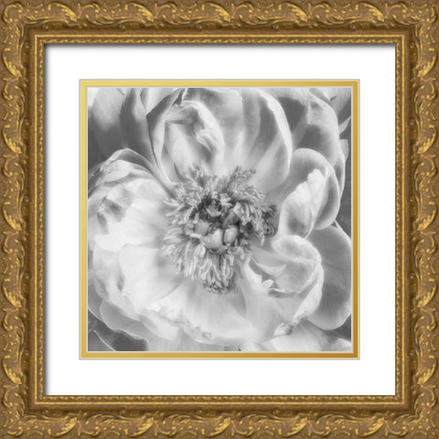 Blooming Intellect 3 Gold Ornate Wood Framed Art Print with Double Matting by Poinski, Dianne