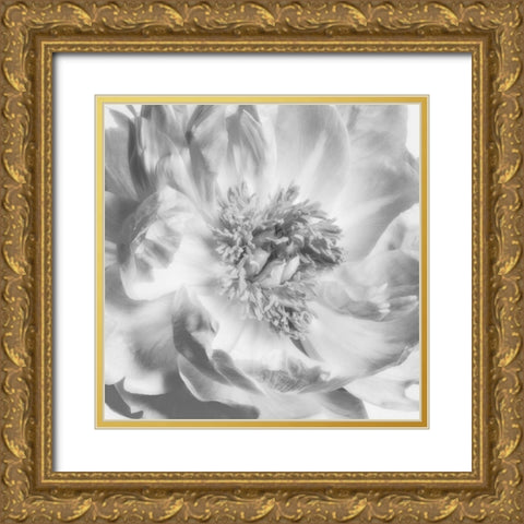 Blooming Intellect 4 Gold Ornate Wood Framed Art Print with Double Matting by Poinski, Dianne