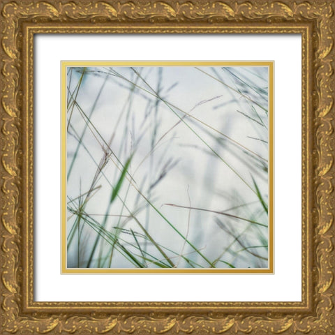 Bluff Grass II Gold Ornate Wood Framed Art Print with Double Matting by Poinski, Dianne