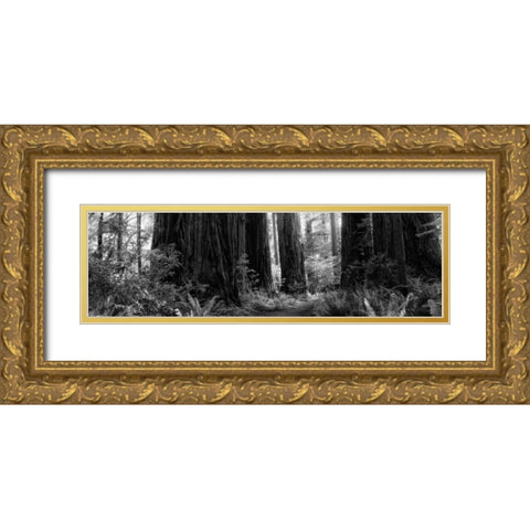 Redwoods Gold Ornate Wood Framed Art Print with Double Matting by Rowland, Joseph