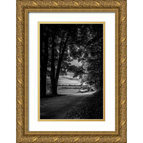 Jenne Farm Tree Tunnel Gold Ornate Wood Framed Art Print with Double Matting by Rowland, Joseph