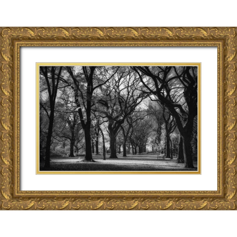 The Mall Gold Ornate Wood Framed Art Print with Double Matting by Rowland, Joseph