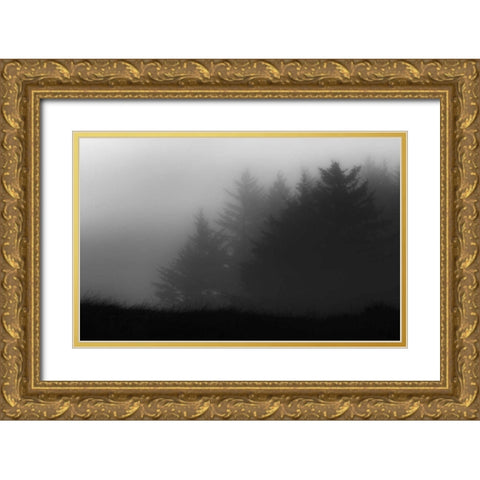 Trees In Fog Gold Ornate Wood Framed Art Print with Double Matting by Rowland, Joseph
