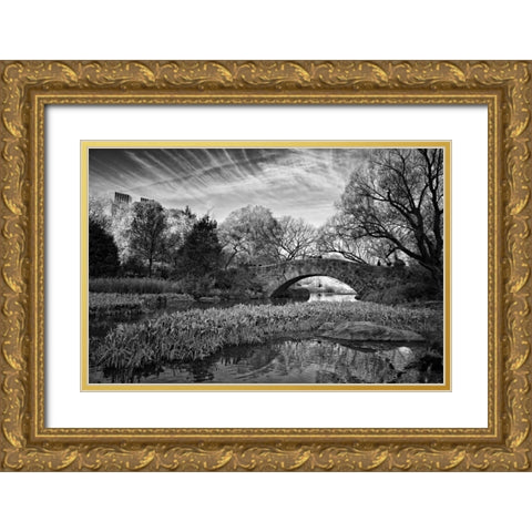 Magic Of Central Park Gold Ornate Wood Framed Art Print with Double Matting by Rowland, Joseph