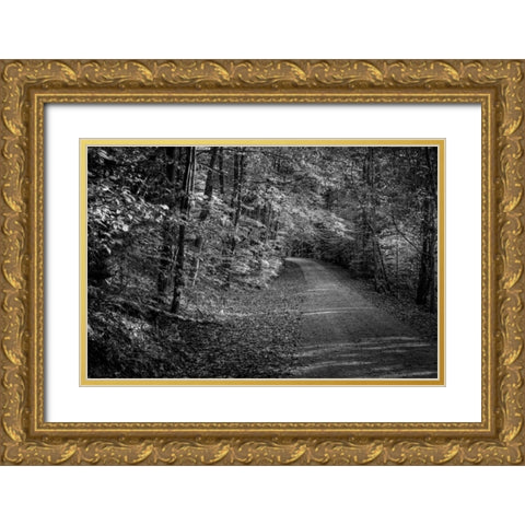 Bend In The Road Gold Ornate Wood Framed Art Print with Double Matting by Rowland, Joseph