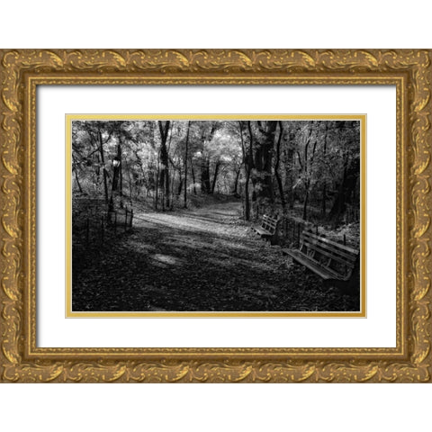 Quiet Path Gold Ornate Wood Framed Art Print with Double Matting by Rowland, Joseph