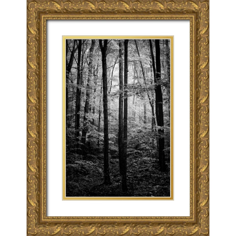 Grove Gold Ornate Wood Framed Art Print with Double Matting by Rowland, Joseph