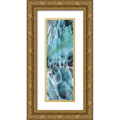 Coastal Rock 1 Gold Ornate Wood Framed Art Print with Double Matting by Lewis, Sheldon