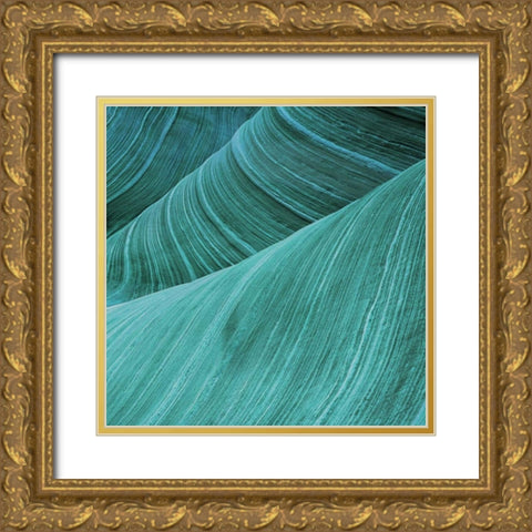 Coastal Abstract 2 Gold Ornate Wood Framed Art Print with Double Matting by Lewis, Sheldon