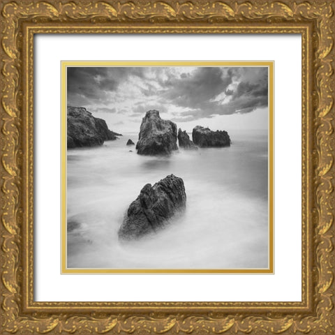 Black Sea 3 Gold Ornate Wood Framed Art Print with Double Matting by Lewis, Sheldon