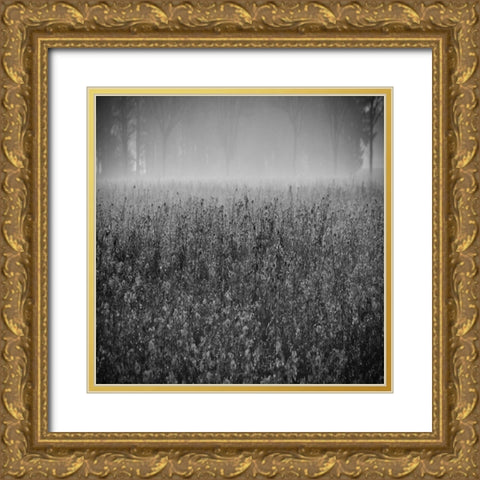 Wild Flower Field Gold Ornate Wood Framed Art Print with Double Matting by Lewis, Sheldon