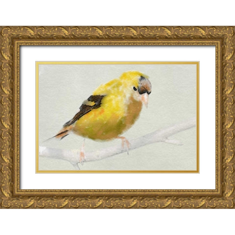 Goldfinch Gold Ornate Wood Framed Art Print with Double Matting by Butcher, Sarah