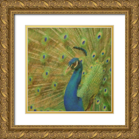 Peacock Love Gold Ornate Wood Framed Art Print with Double Matting by Greene, Taylor