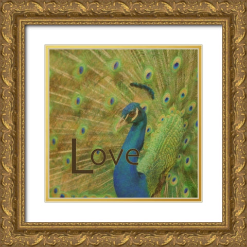 Peacock Love C Gold Ornate Wood Framed Art Print with Double Matting by Greene, Taylor