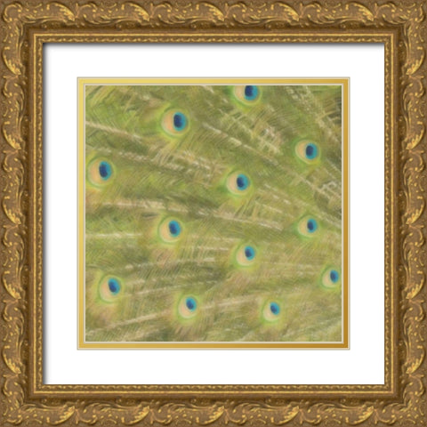 Peacock Feathers 2 Gold Ornate Wood Framed Art Print with Double Matting by Greene, Taylor