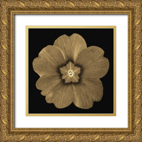 Sepia Floral A1 Gold Ornate Wood Framed Art Print with Double Matting by Greene, Taylor
