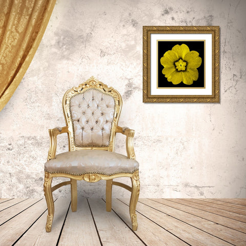 Sepia Floral I Gold Ornate Wood Framed Art Print with Double Matting by Greene, Taylor