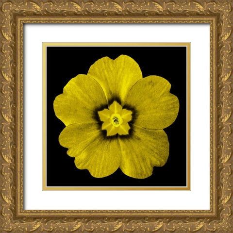 Sepia Floral I Gold Ornate Wood Framed Art Print with Double Matting by Greene, Taylor