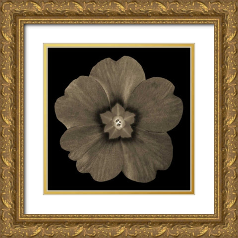 Sepia Floral I Gold Ornate Wood Framed Art Print with Double Matting by Greene, Taylor