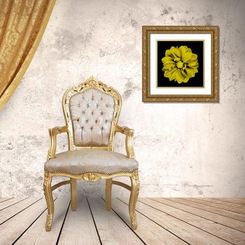 Sepia Floral IV Gold Ornate Wood Framed Art Print with Double Matting by Greene, Taylor