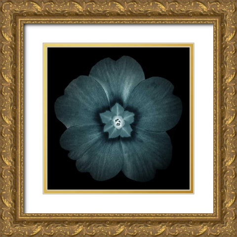 Daylight Floral I Gold Ornate Wood Framed Art Print with Double Matting by Greene, Taylor