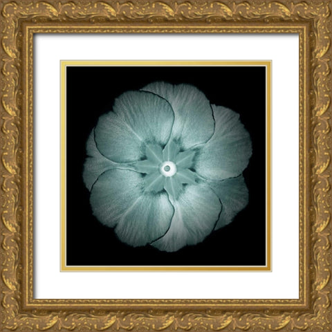 Daylight Floral II Gold Ornate Wood Framed Art Print with Double Matting by Greene, Taylor