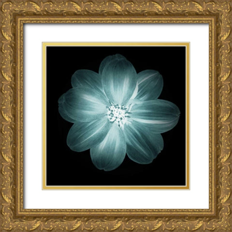 Daylight Floral III Gold Ornate Wood Framed Art Print with Double Matting by Greene, Taylor