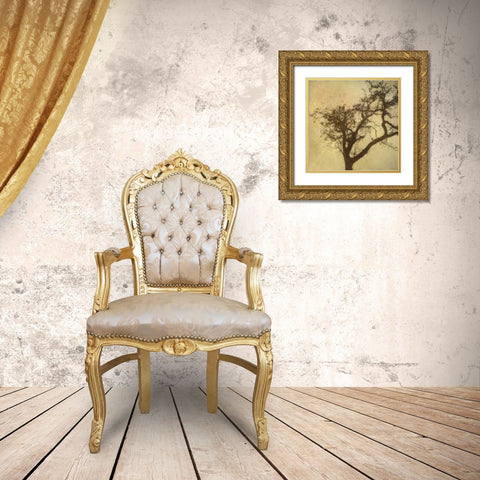 Silo Beauty Tree Gold Ornate Wood Framed Art Print with Double Matting by Greene, Taylor