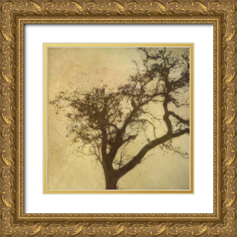Silo Beauty Tree Gold Ornate Wood Framed Art Print with Double Matting by Greene, Taylor