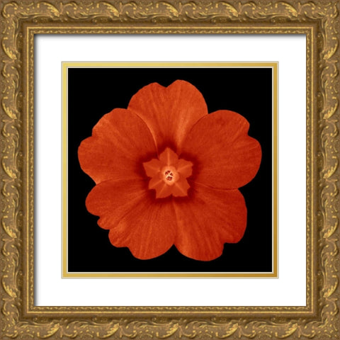 Sepia Floral 1 Gold Ornate Wood Framed Art Print with Double Matting by Greene, Taylor