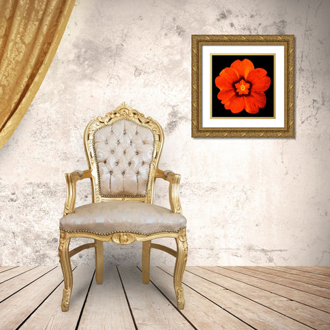 Sepia Floral 2 Gold Ornate Wood Framed Art Print with Double Matting by Greene, Taylor