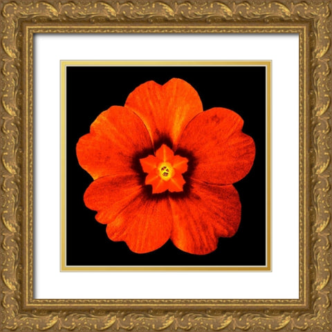 Sepia Floral 2 Gold Ornate Wood Framed Art Print with Double Matting by Greene, Taylor