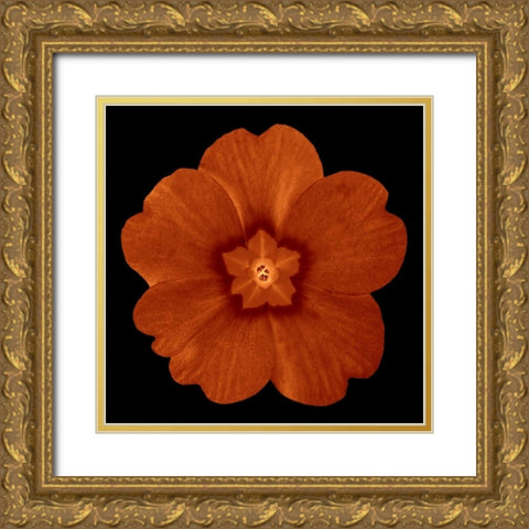 Sepia Floral C Gold Ornate Wood Framed Art Print with Double Matting by Greene, Taylor
