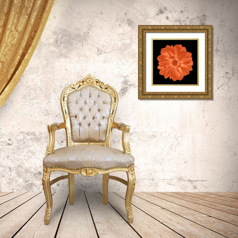 Sepia Floral A Gold Ornate Wood Framed Art Print with Double Matting by Greene, Taylor