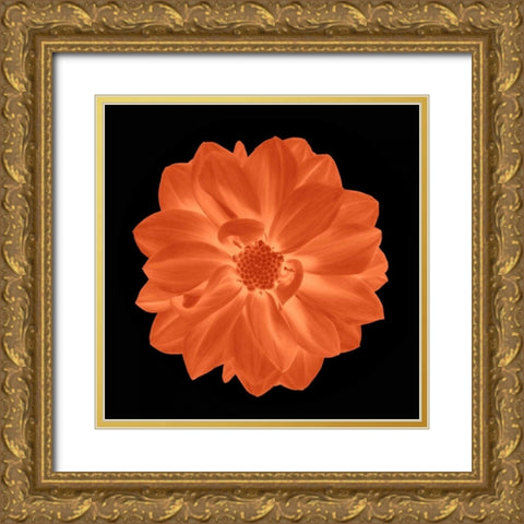 Sepia Floral A Gold Ornate Wood Framed Art Print with Double Matting by Greene, Taylor