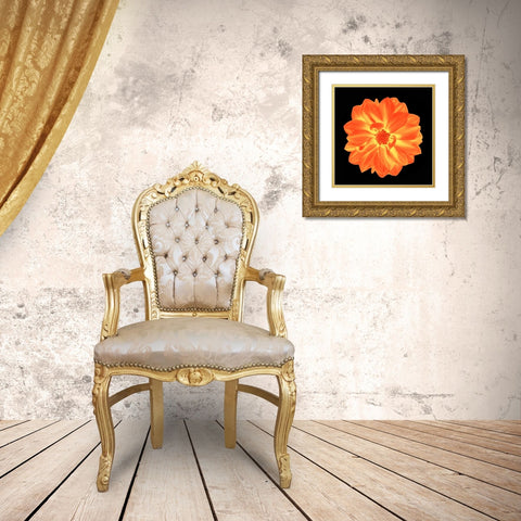 Sepia Floral B Gold Ornate Wood Framed Art Print with Double Matting by Greene, Taylor