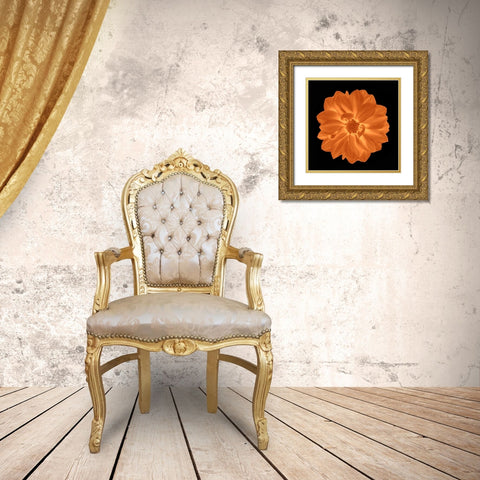 Sepia Floral IV Gold Ornate Wood Framed Art Print with Double Matting by Greene, Taylor