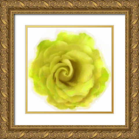 Yello Rose Gold Ornate Wood Framed Art Print with Double Matting by Greene, Taylor