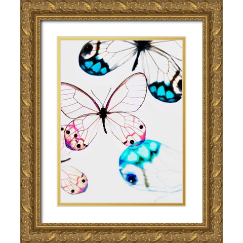 Glasswings Gold Ornate Wood Framed Art Print with Double Matting by Telik, Tracey